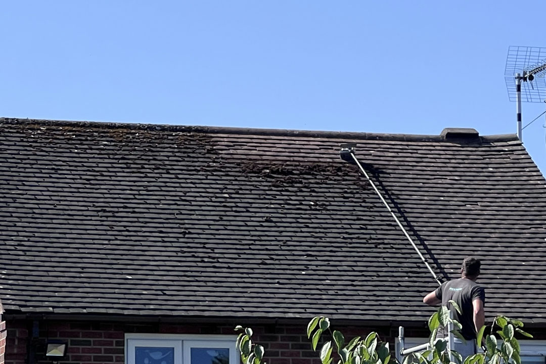 moss-removal-henley-in-arden-3