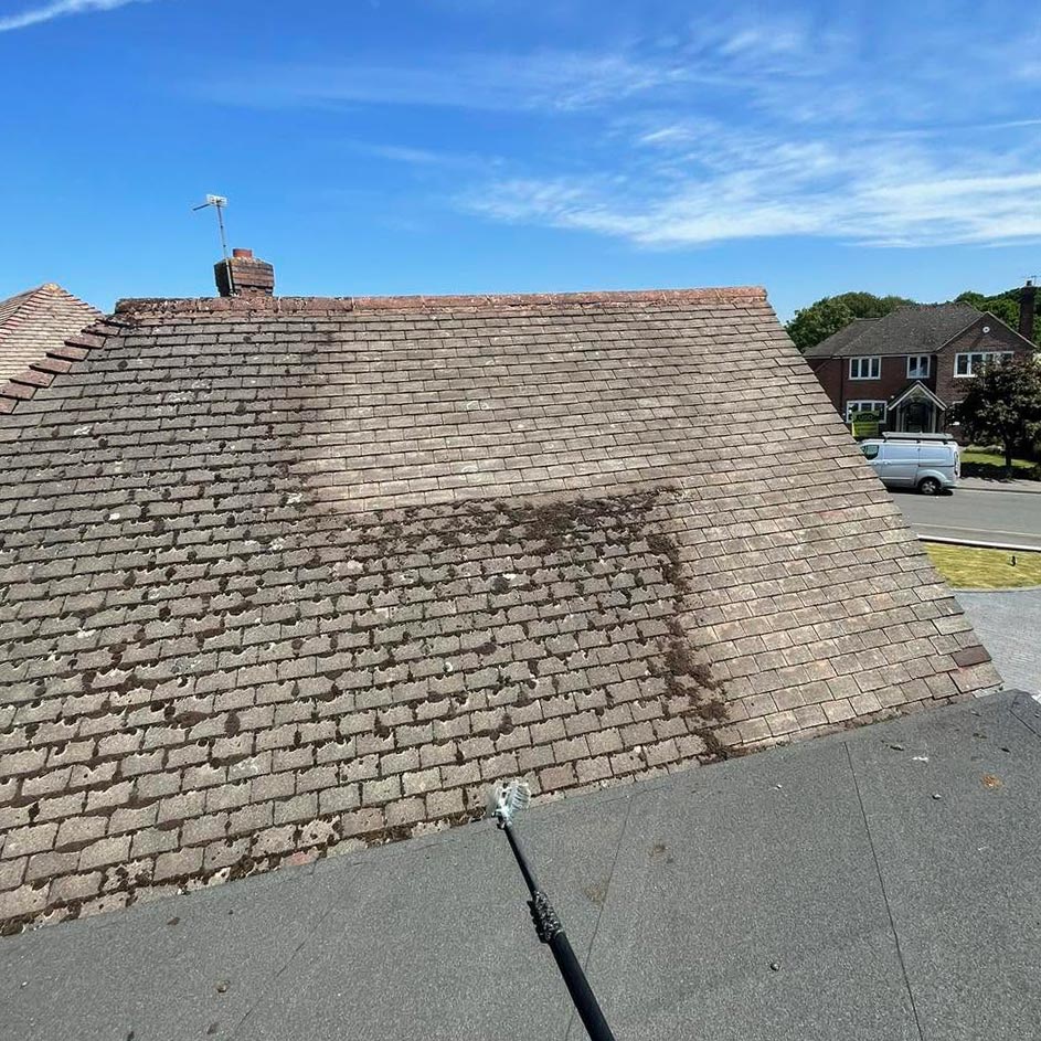 moss remove birmingham